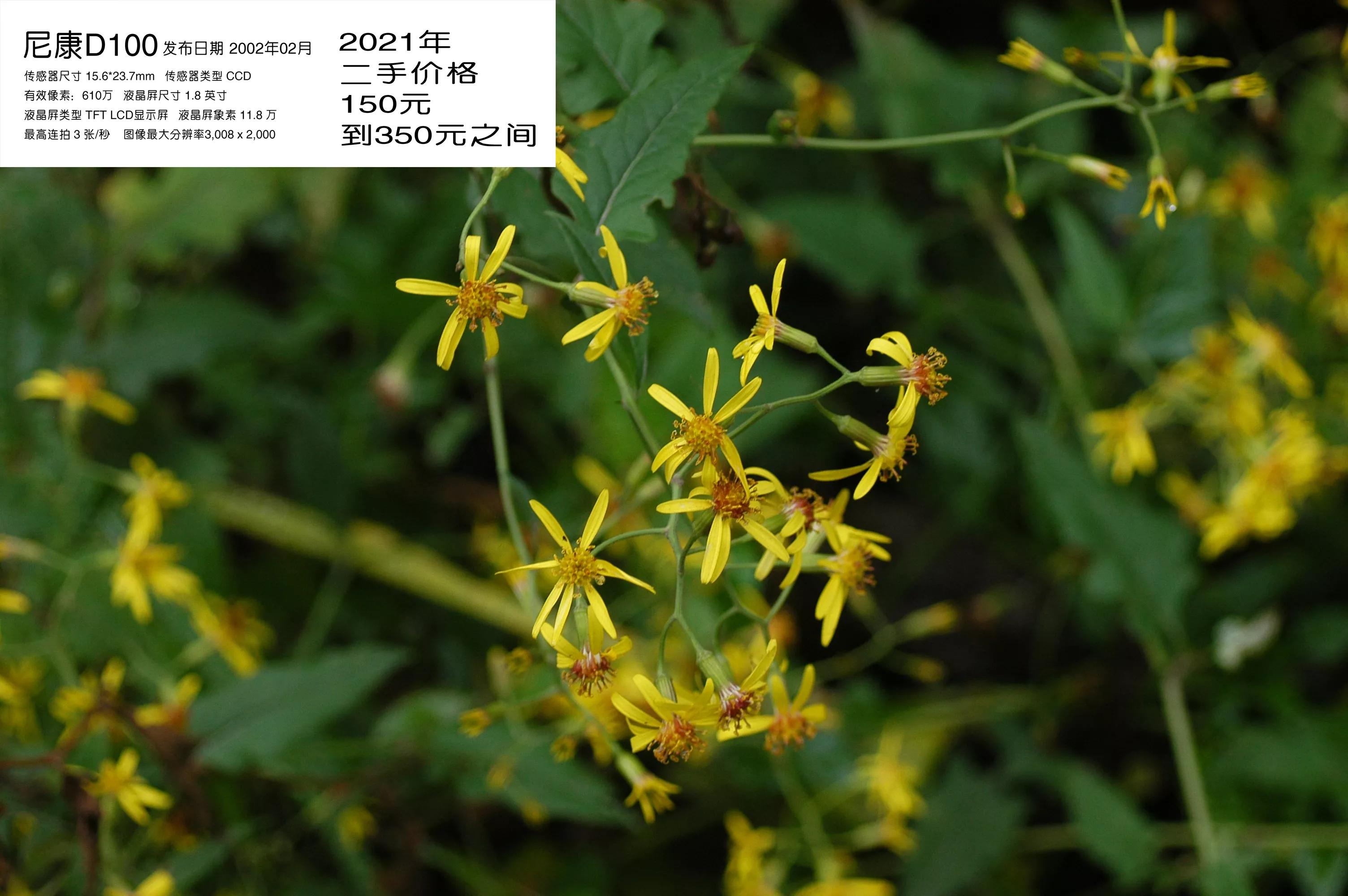 去学摄影花费2w到底值不值得,想学摄影不知道从哪里入手