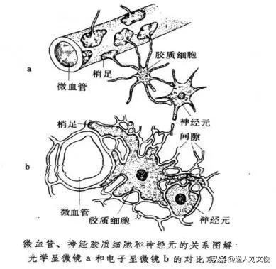 纳米银水产副作用,纳米银在水产上用刺激大吗