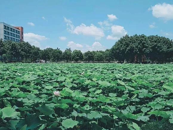 广东大学参观指南大全,广东大学参观预约