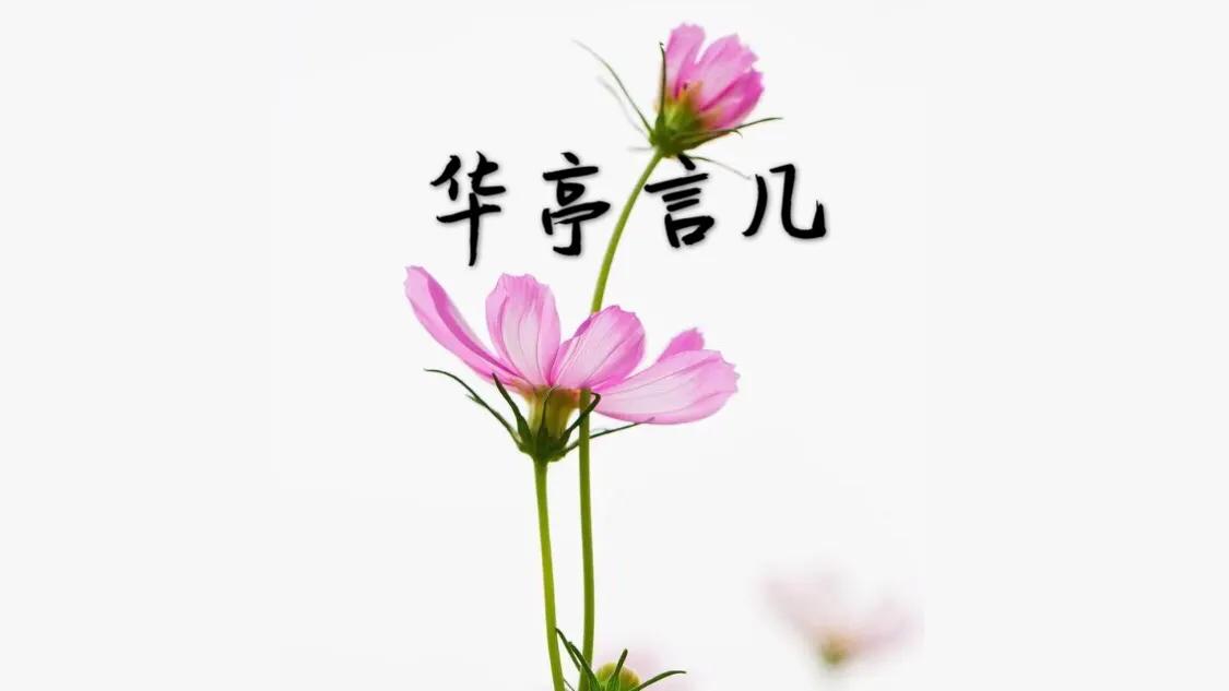 缘分是个妙不可言的东西,缘分是个奇妙的东西完整版