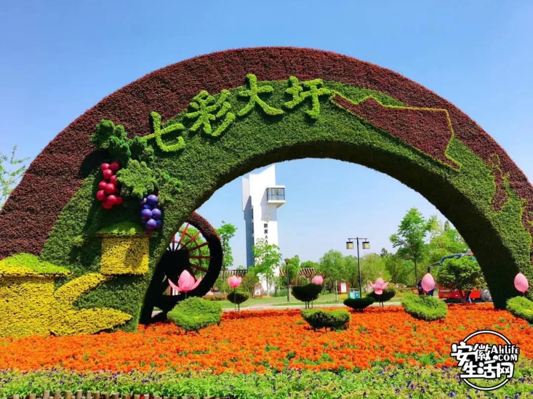 合肥最美的春天景点,合肥春天有哪些好玩的景点