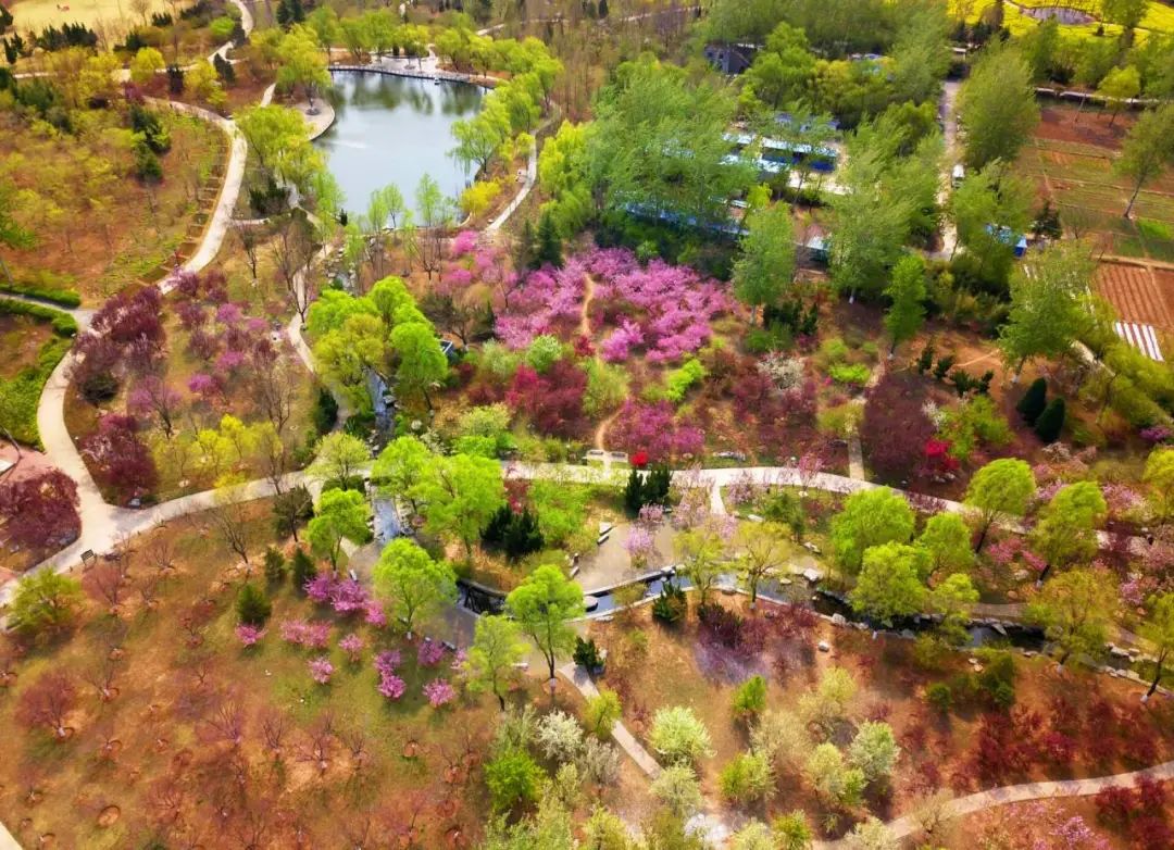 济南3月免费赏花攻略,花都开了济南周边赏花攻略收好
