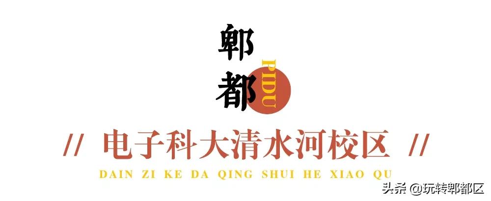 郫都区十大银杏打卡地,郫都区看银杏最好的地方