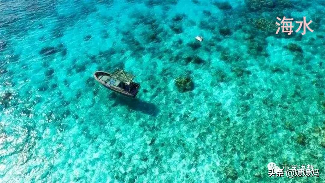 三年级第18课富饶的西沙群岛视频,三年级上册18富饶的西沙群岛笔记