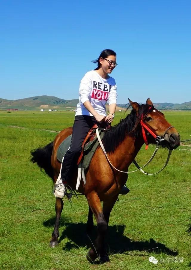 旅行去看草原美景,去草原撒欢视频