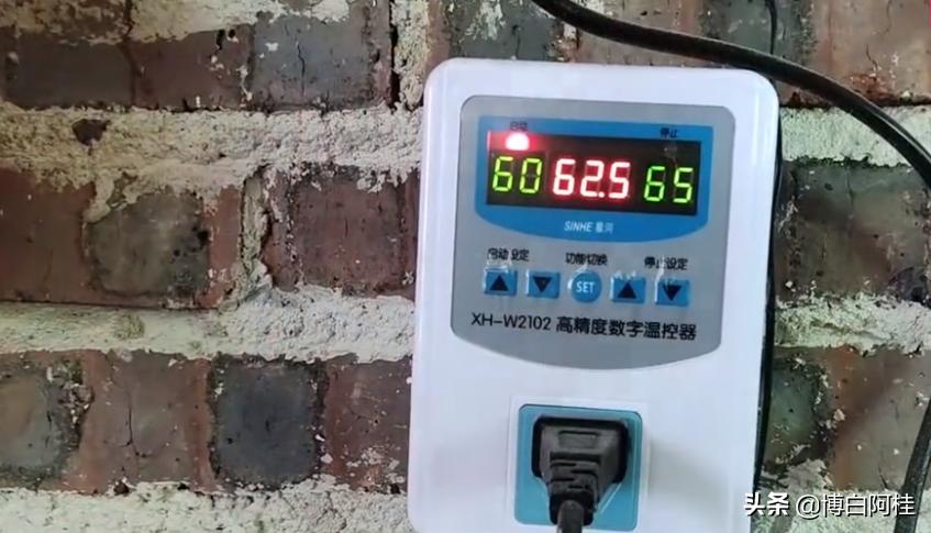 中国桂圆之乡,农人优选广西博白桂圆