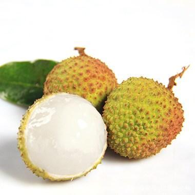 中国荔枝看茂名，茂名荔枝看高州