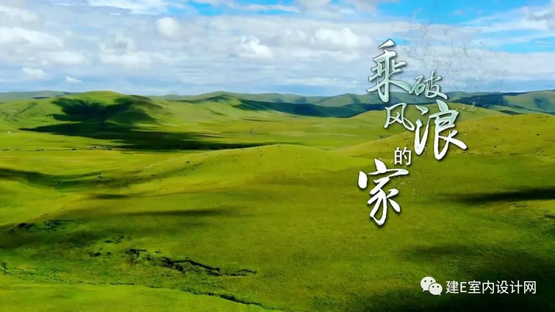 乘风破浪谢柯,谢柯个人简历