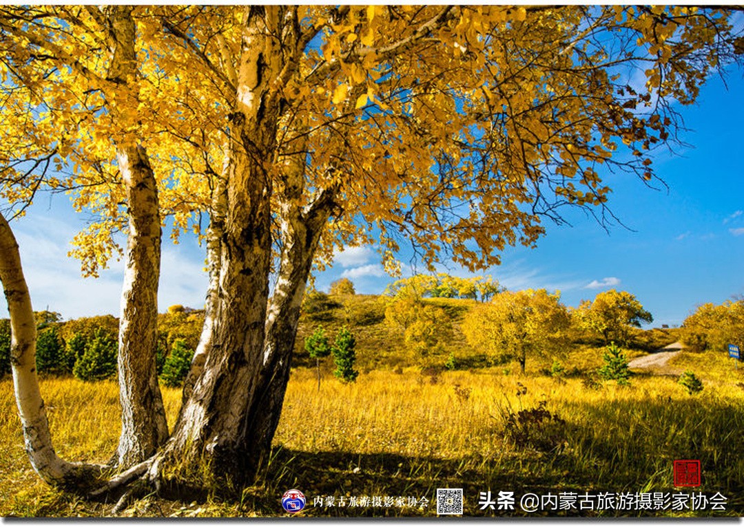 那山那水那滋味,那山那水那份爱