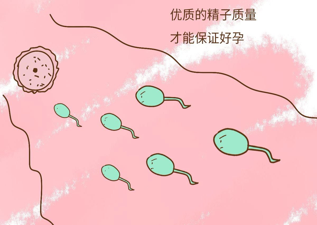 为了生一个女儿，女性可是煞费苦心，然而迷信偏方却是做无用功