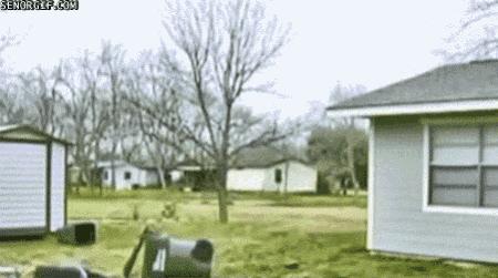 外国人少系列:这是黑人版快手吧?至少也是作死界的王者级别