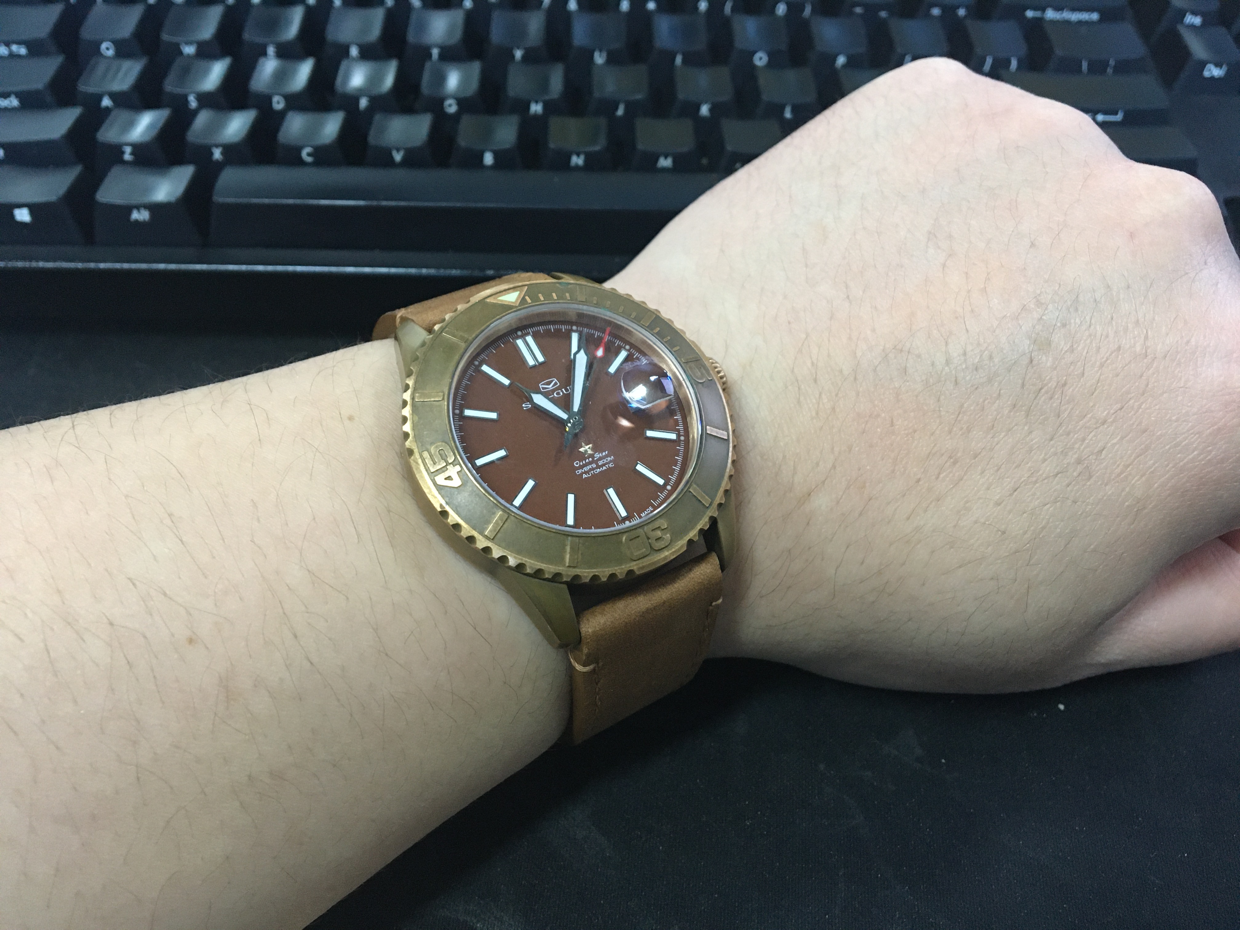 海鸥青铜限量款,海鸥青铜限量版