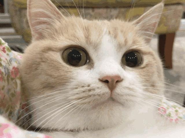 看剧看哭了会影响胎儿吗,看剧看哭的心理变化过程