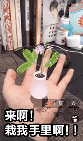 为什么今天都在发“想要你栽在我手里”?难道因为她们手里有土?