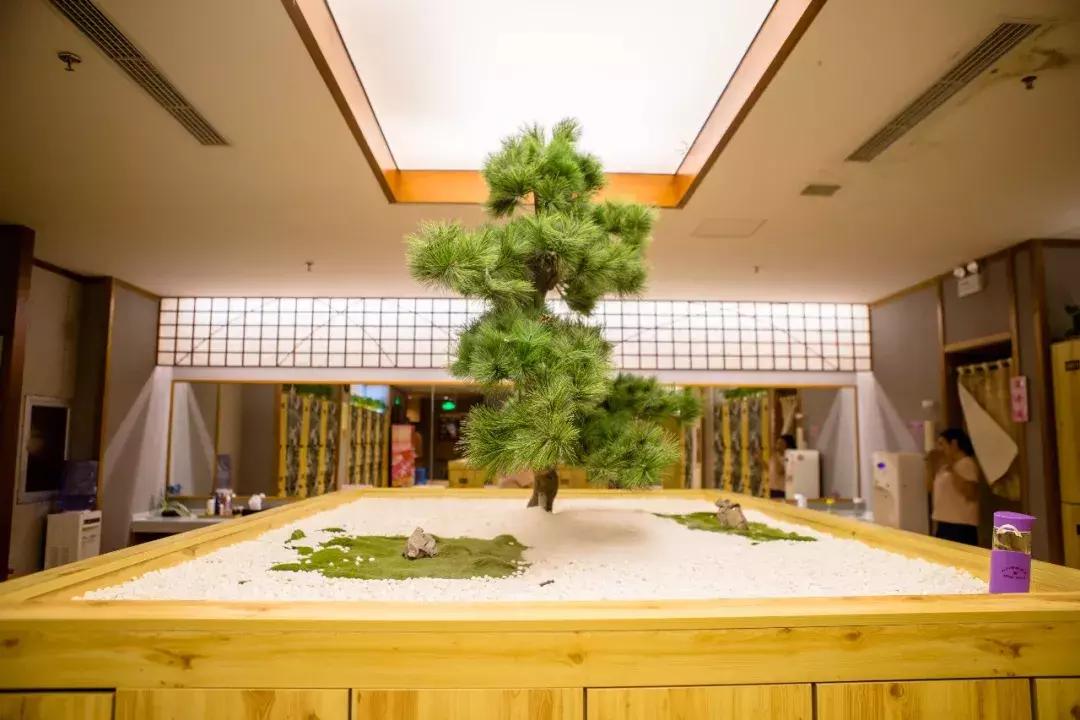 汤泉良子汤泉亚运村店团购,汤泉良子平日单人汤泉门票