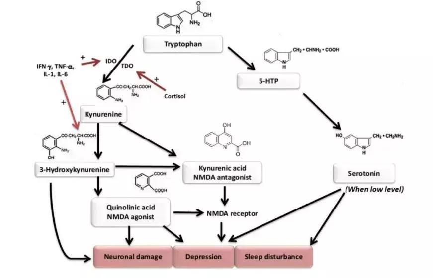抑郁症临床表现诊断和治疗,重度抑郁症焦虑症20天治愈案例