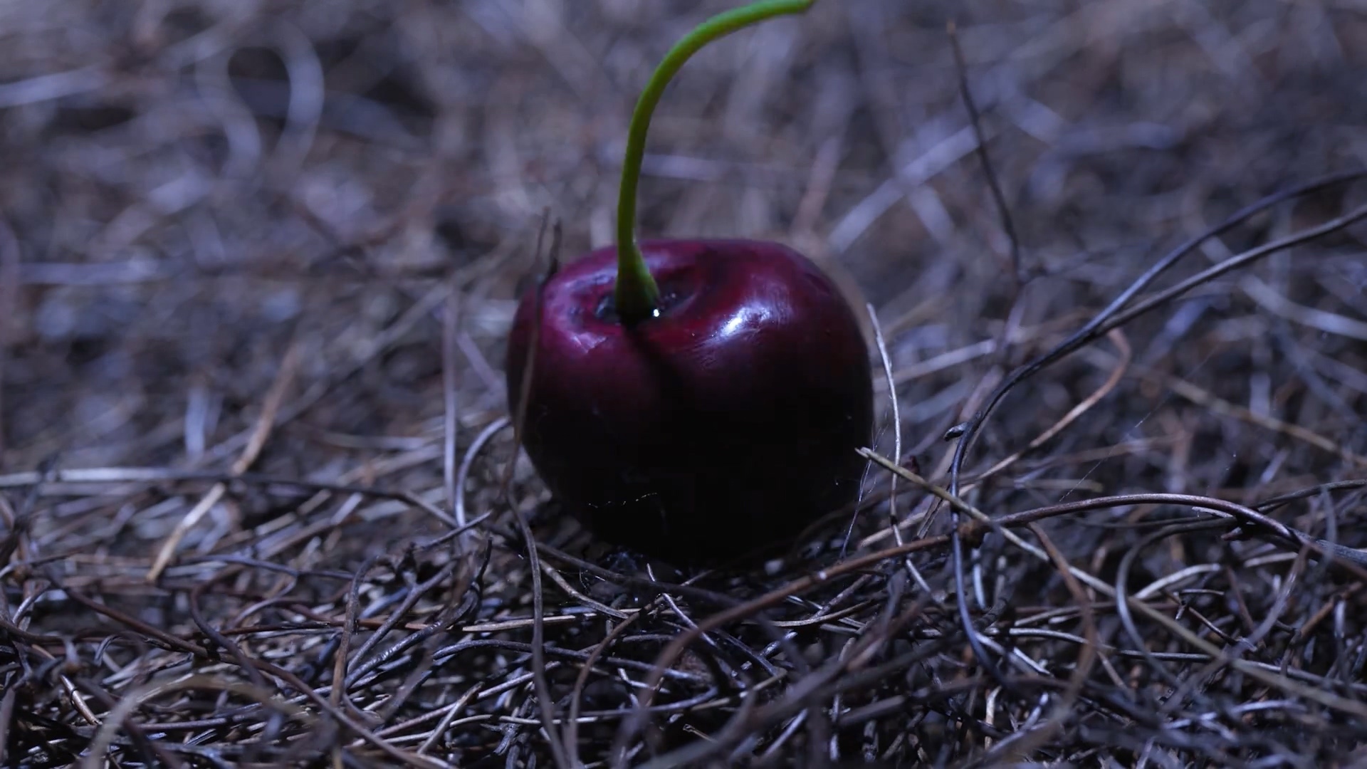如何用垃圾拍成一部惊艳的电影