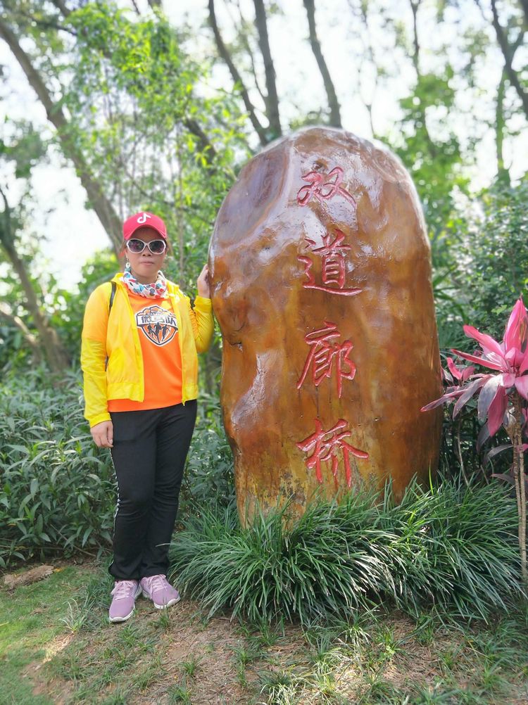 520，别样塘朗山！六约微马2019我们一起走第十二站塘朗山