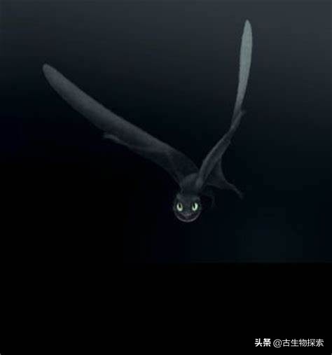 缈奸緳鍊掓寕,缈奸緳鍊掓寕鍗婄┖