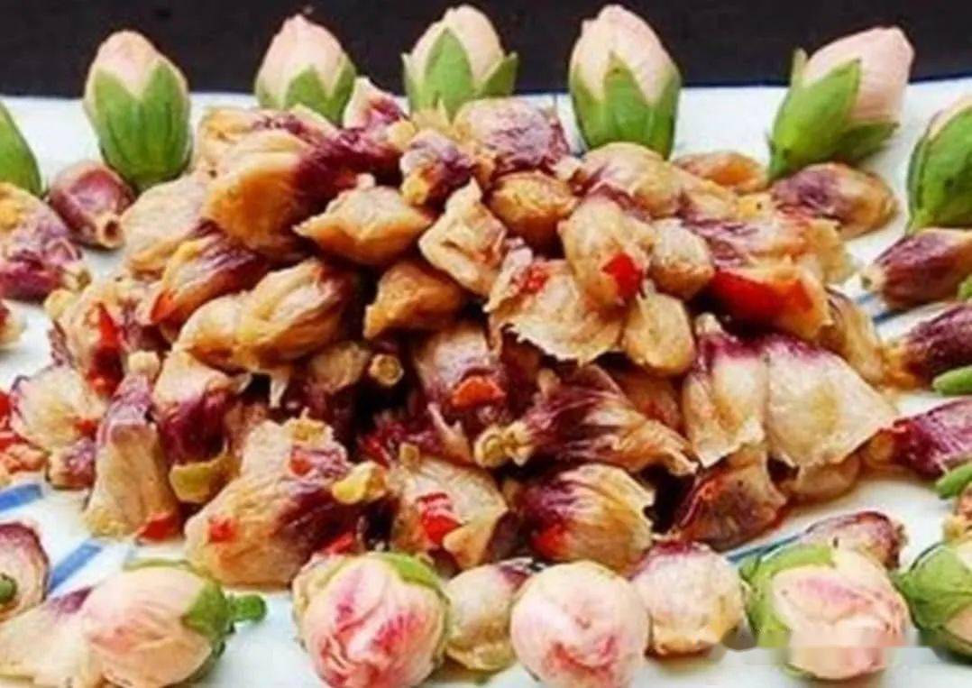 人养花花养人下句,什么花好养活又好看还可以吃的