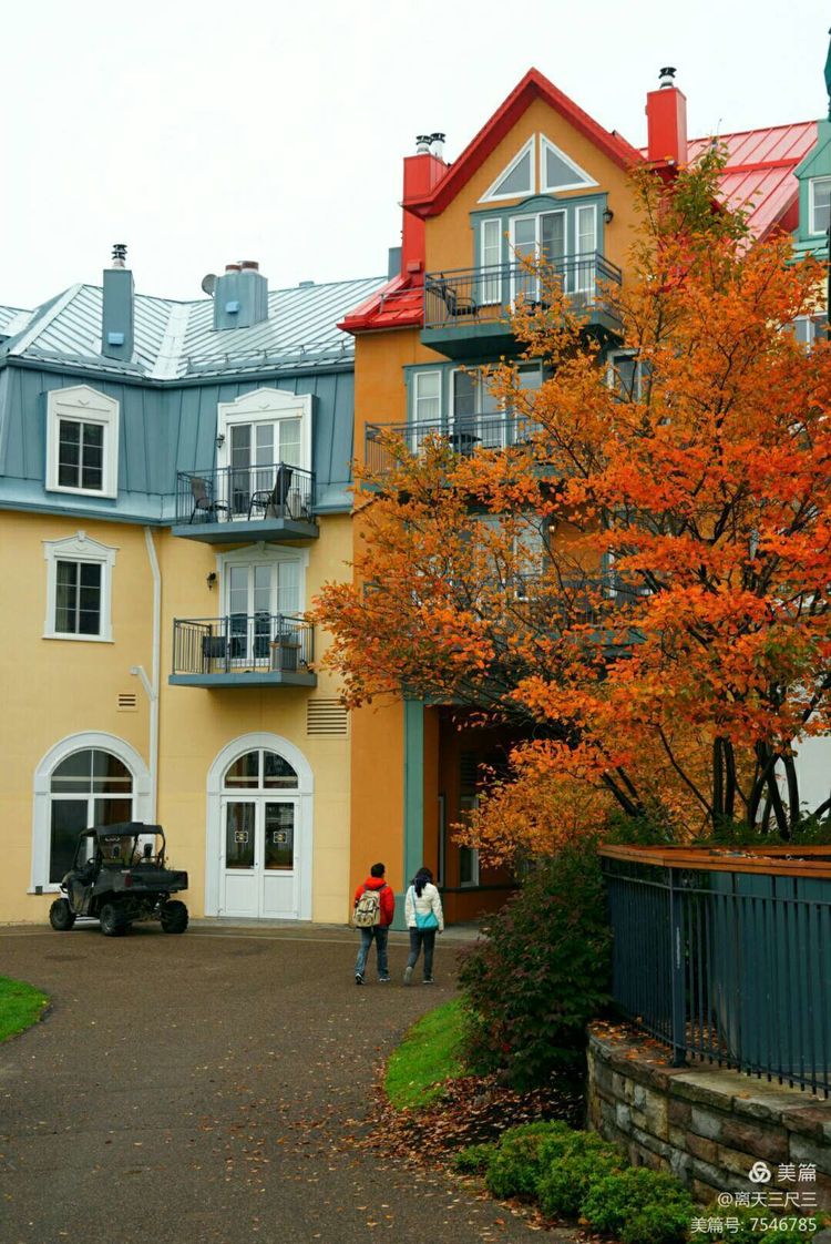 鍖楃編鏋儏閽荤煶姗℃湪,鍖楃編鏋儏鐏攨