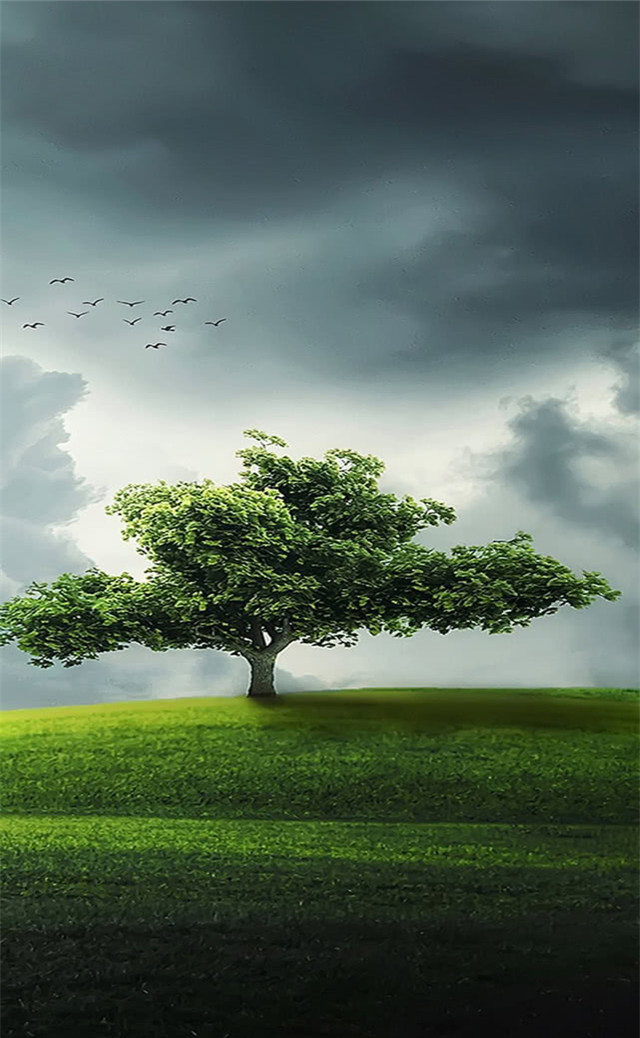 缓解眼睛疲劳壁纸颜色,缓解眼睛疲劳的壁纸高清