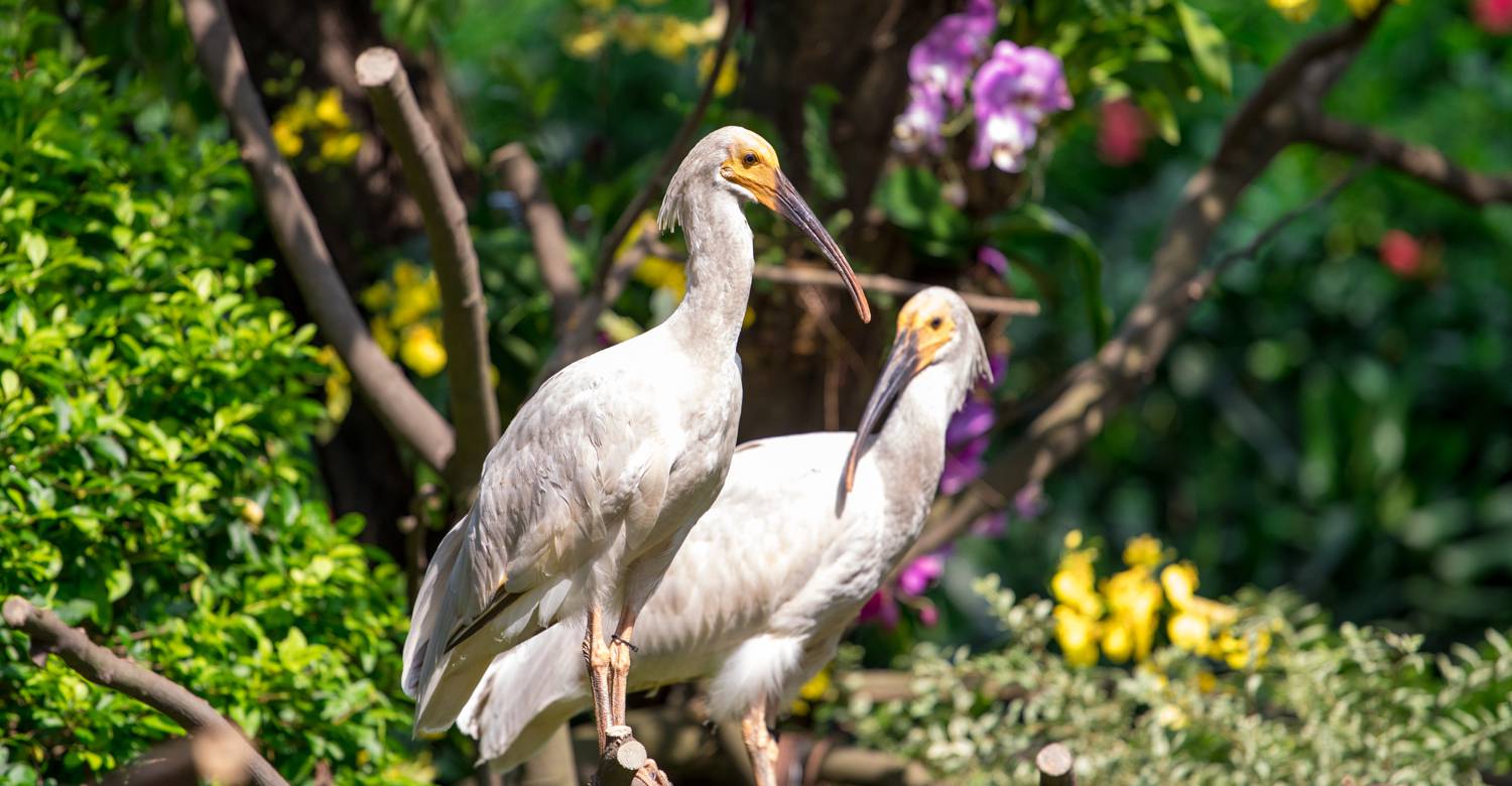 春节广州周边温泉游攻略,自由行广州温泉旅游攻略