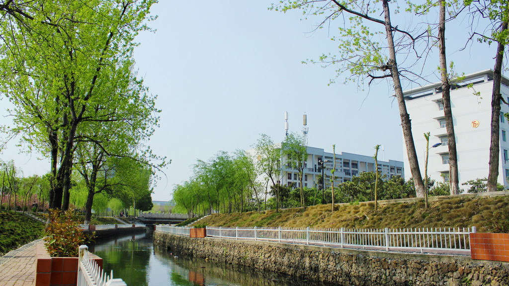 南阳2所大学：为何外地学生争着来，本地学生不愿报？