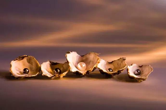 珠宝玉石为什么那么火热,玉石珠宝科普知识