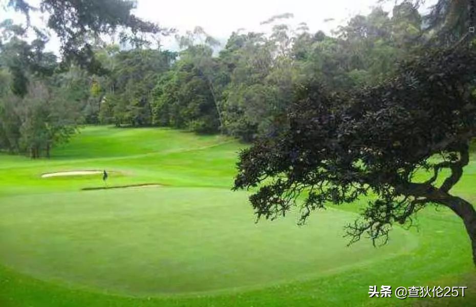 斯里兰卡努沃埃利耶小镇,斯里兰卡努沃勒埃利耶茶厂