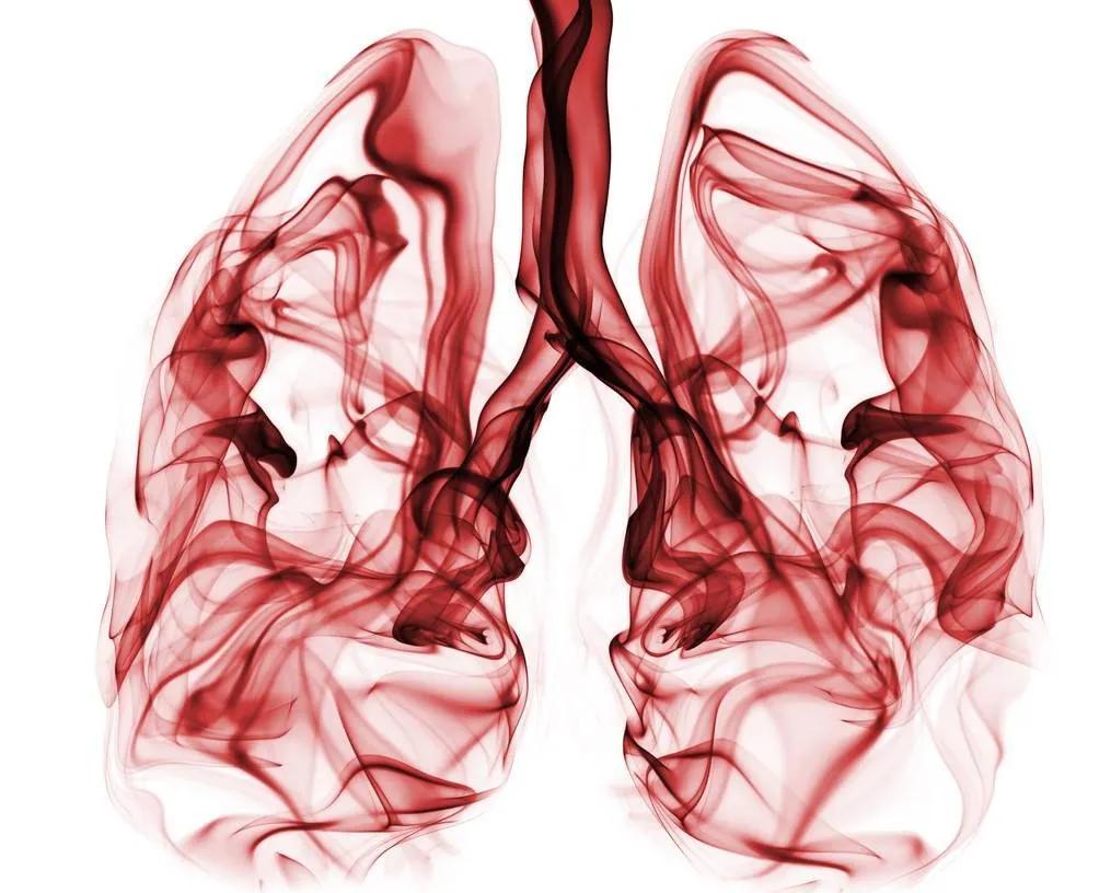 肺癌egfr基因突变靶向药,基因egfr突变最新靶向药
