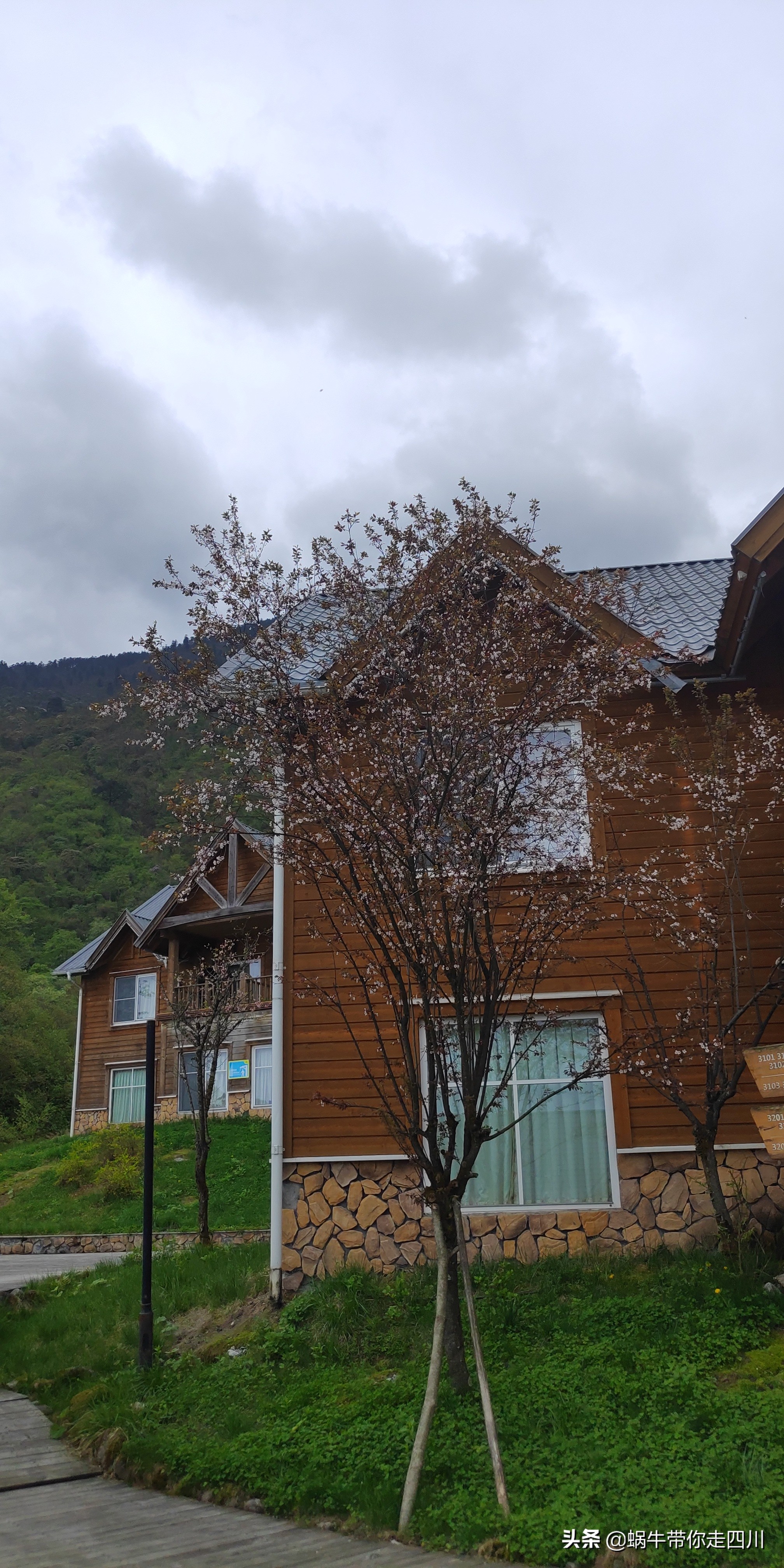 成都去西岭雪山两天一夜旅游团,成都出发雪山旅游