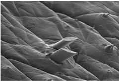 七层手动剃须刀高端款,德国剃须刀畅销榜第一名2022新款