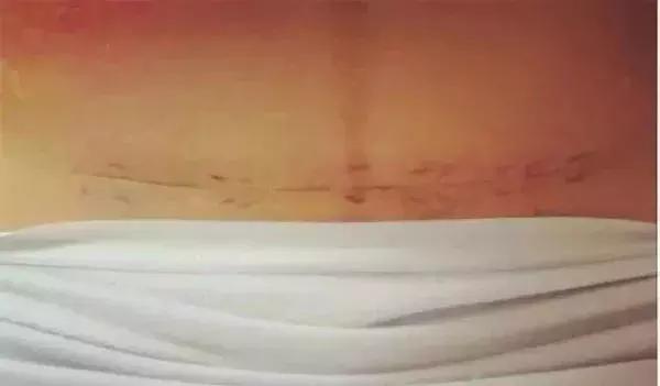 母猫产后多久身材可以恢复,产后身材多久能恢复到孕前