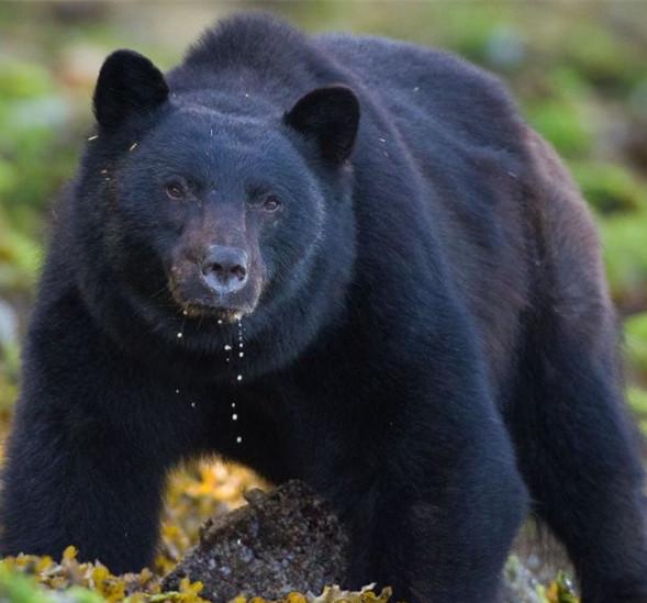 家乡特色美食分享,我家乡的特色是什么