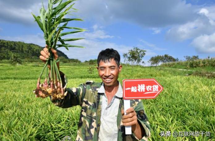拼多多低价产品的意义,拼多多买的洋葱怎么样