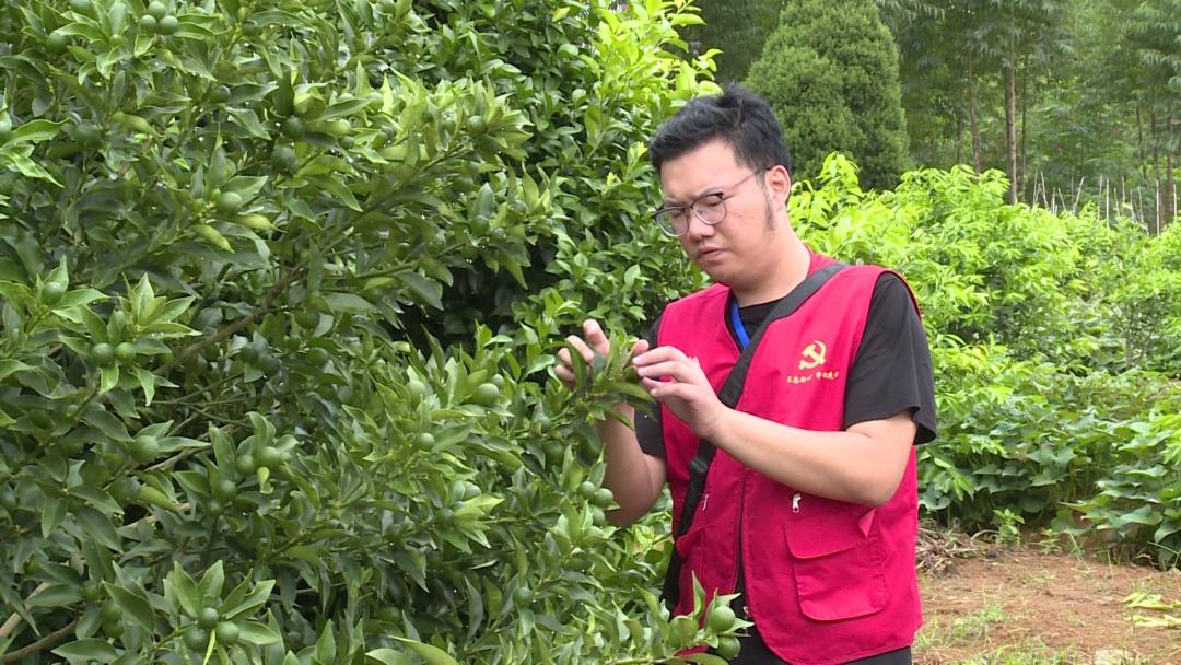 【阳朔人阳朔事】村里的“大个子”书记，乡亲们的好“亲戚”