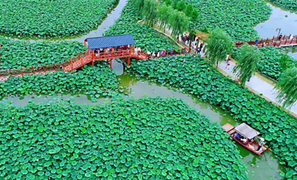 如皋被称为长寿之乡的原因,如皋是中国著名的长寿之乡