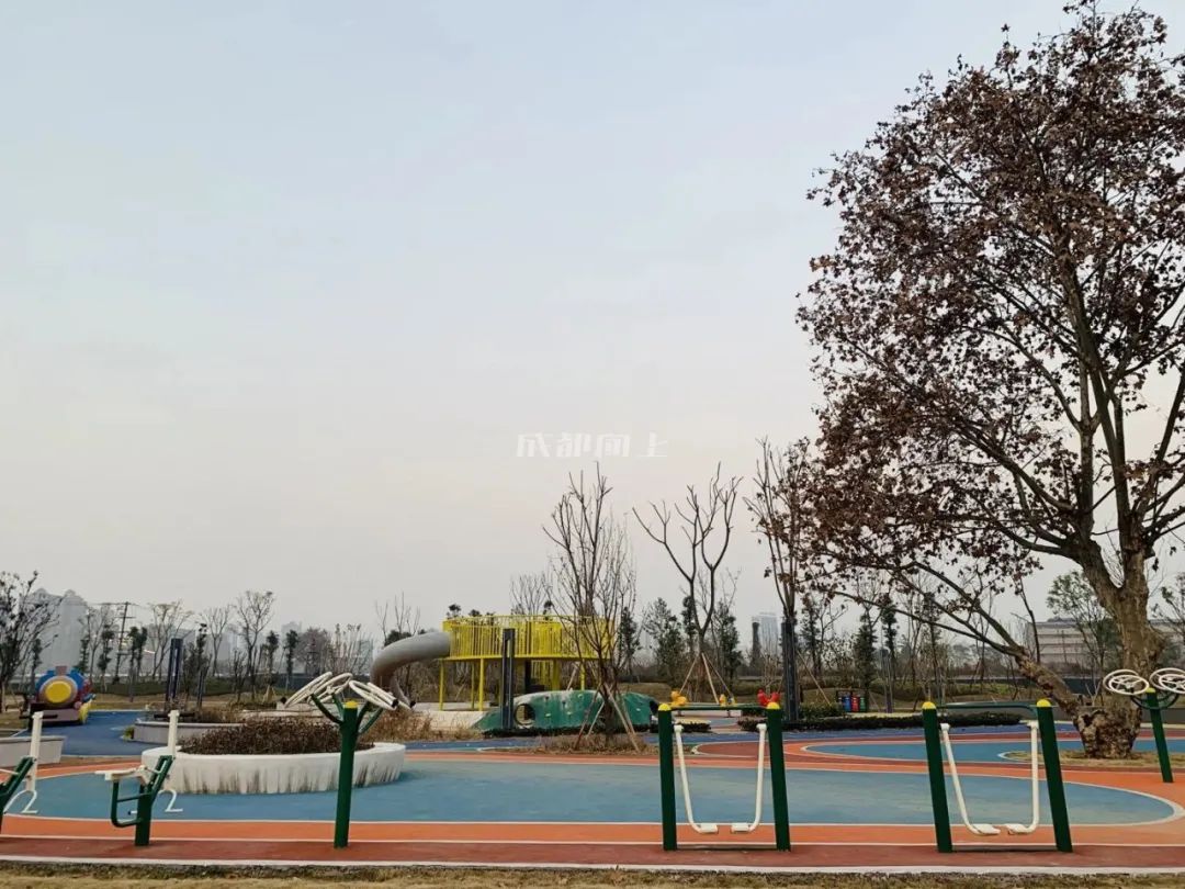 东南西北修公园大PK：城东，成华更凶还是龙泉更猛？