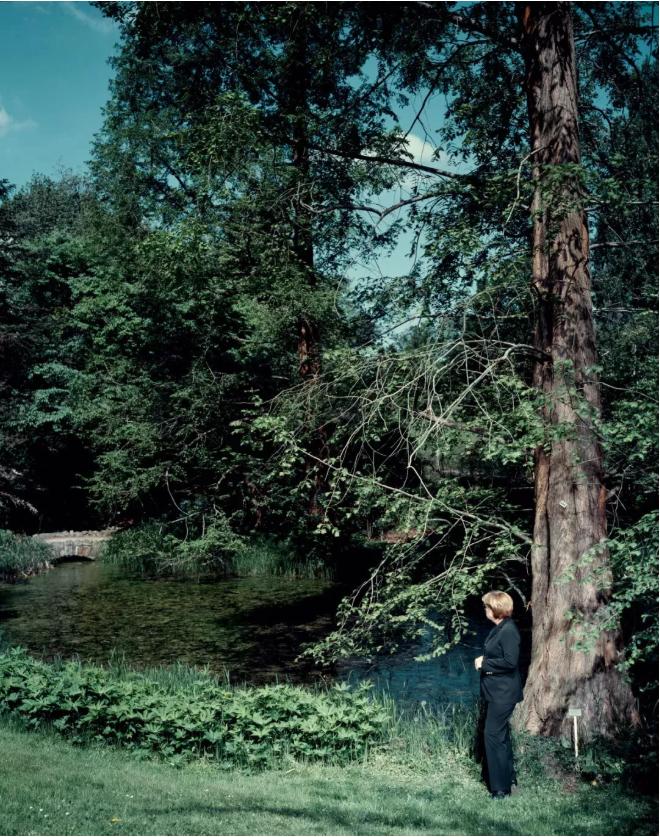 帝国的转身:默克尔的“肖像”