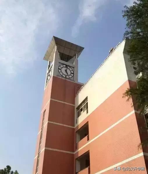 武汉十大土豪学校排名,武汉十大土豪学校