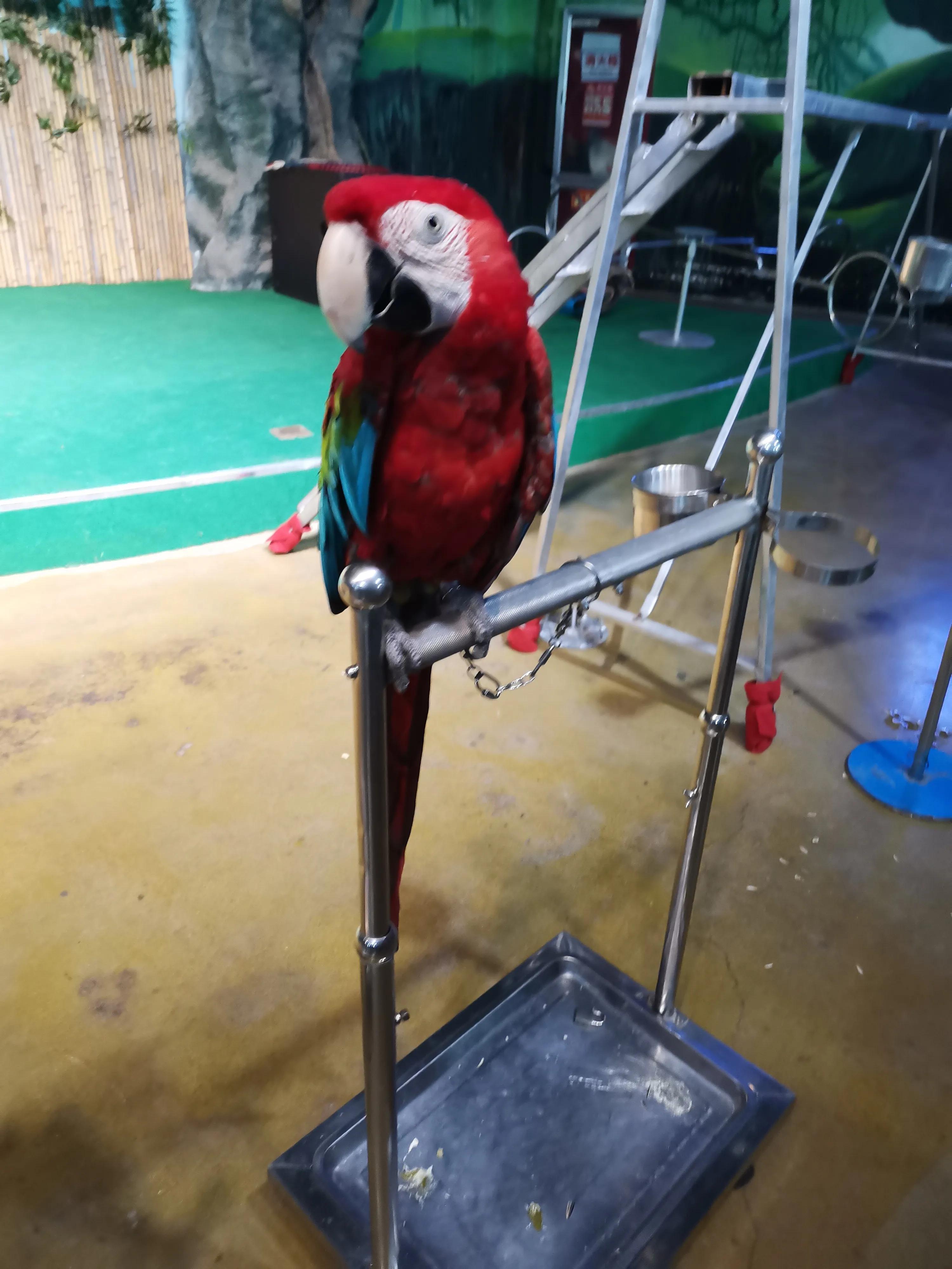 潍坊极地世界,寿光极地海洋世界人多吗