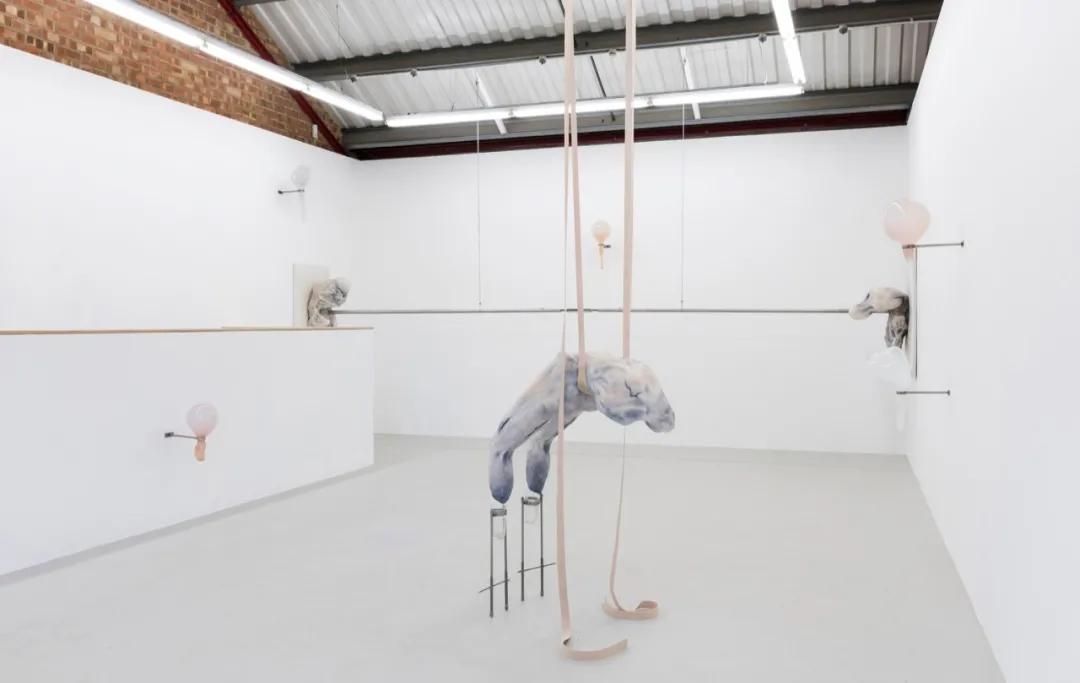 伊万娜,伊万娜吉他