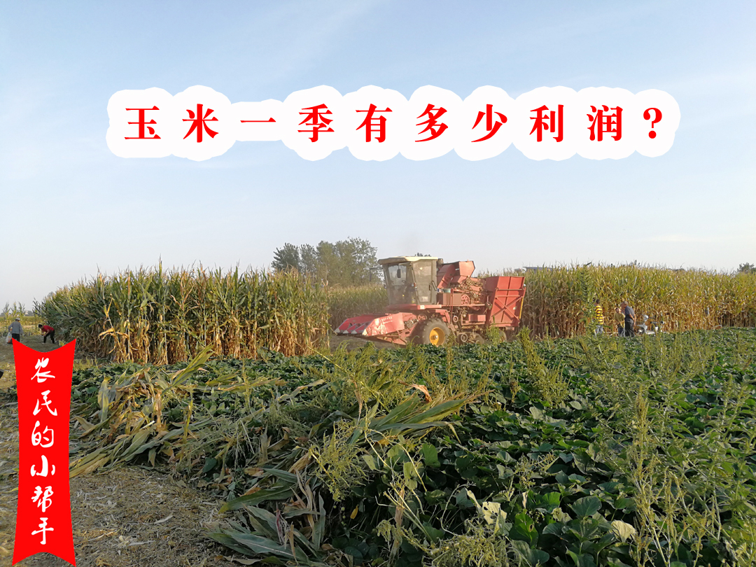 70亩田租金5000元合理吗,租金800元每月