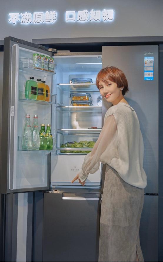 冰箱深度保鲜,冰箱保鲜3档