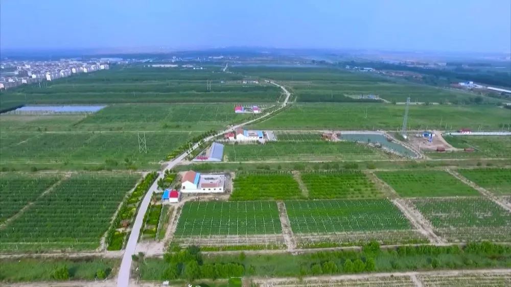 这些食品不合格吃货们快来避雷啦,寿光欧麦食品不合格产品