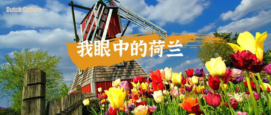 荷兰的郁金香风车牧场和运河,荷兰郁金香风车美景