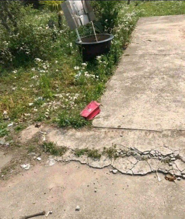 每日一笑当你打算向妹子表白时,每日一笑你的套路太深了