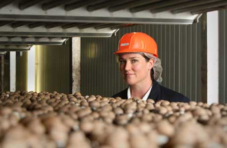 外国人爱吃的蘑菇,外国人吃巧克力蘑菇饼干