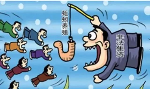 资金盘骗局解析,资金盘骗局揭秘最新